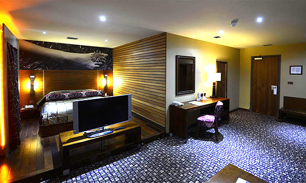 Room 501